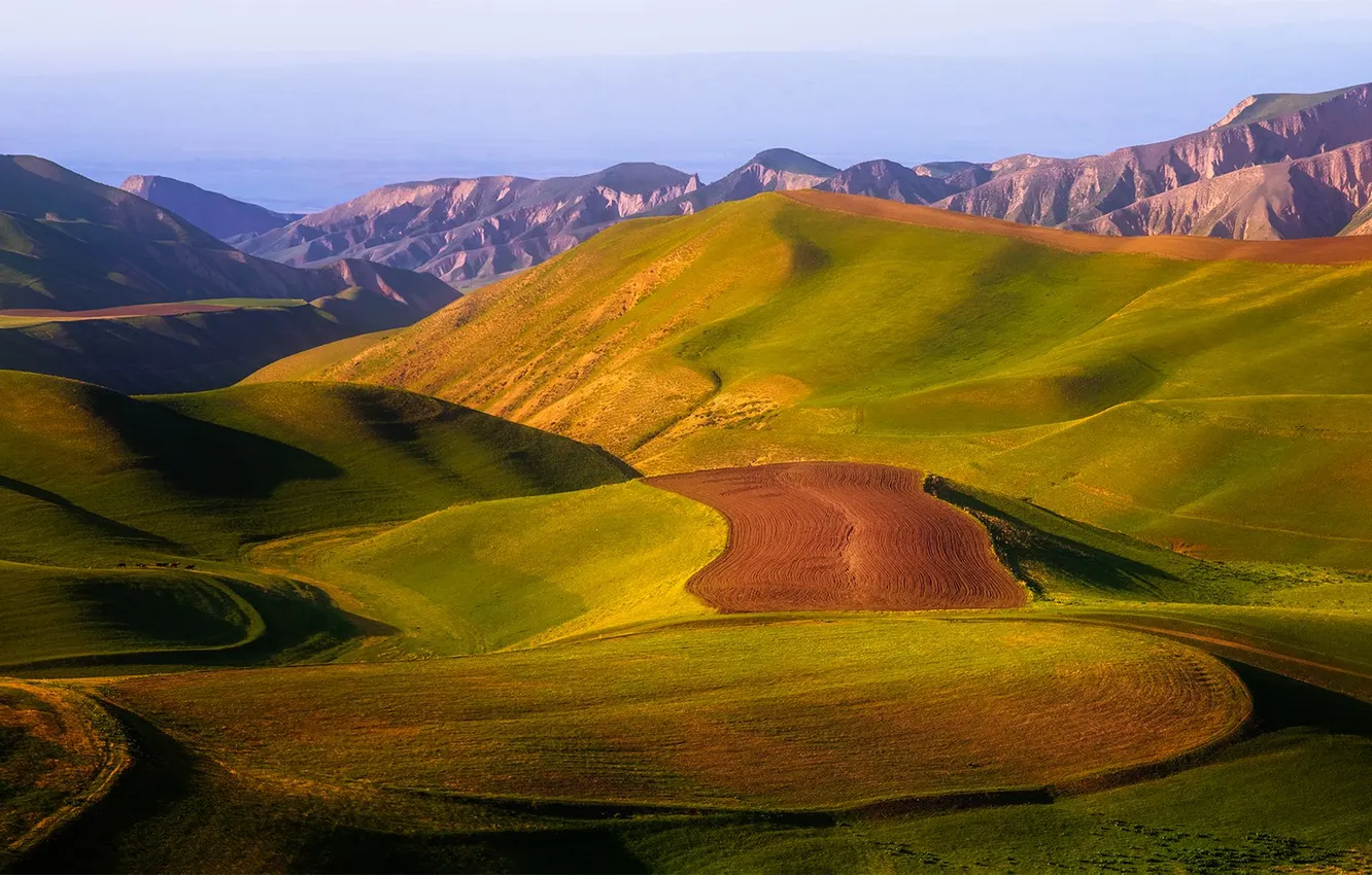 Photo wallpaper mountains, beauty, plain, horizon, meadow, space, haze, the foothills
