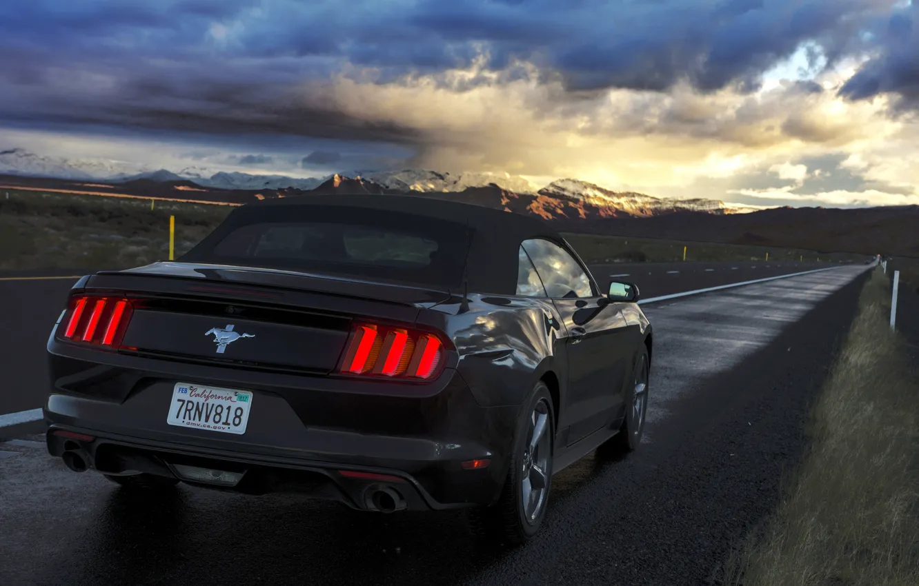 Photo wallpaper road, the evening, mustang, ford