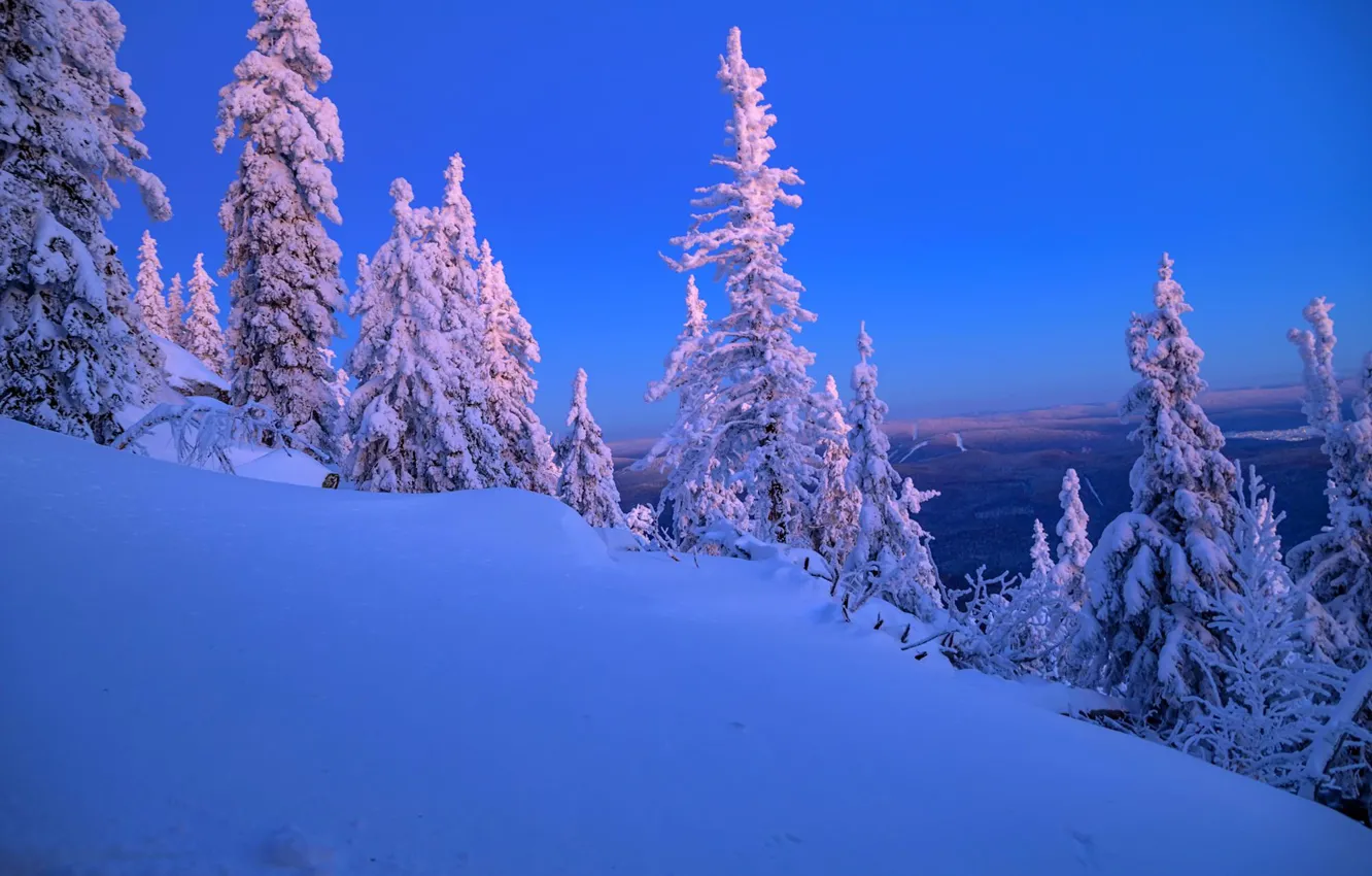 Photo wallpaper winter, snow, trees, landscape, nature, the evening, ate, slope