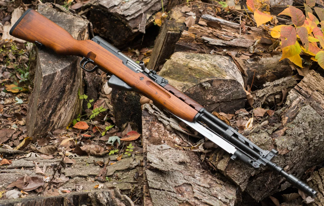 Photo wallpaper carabiner, self-loading, SKS, Simon