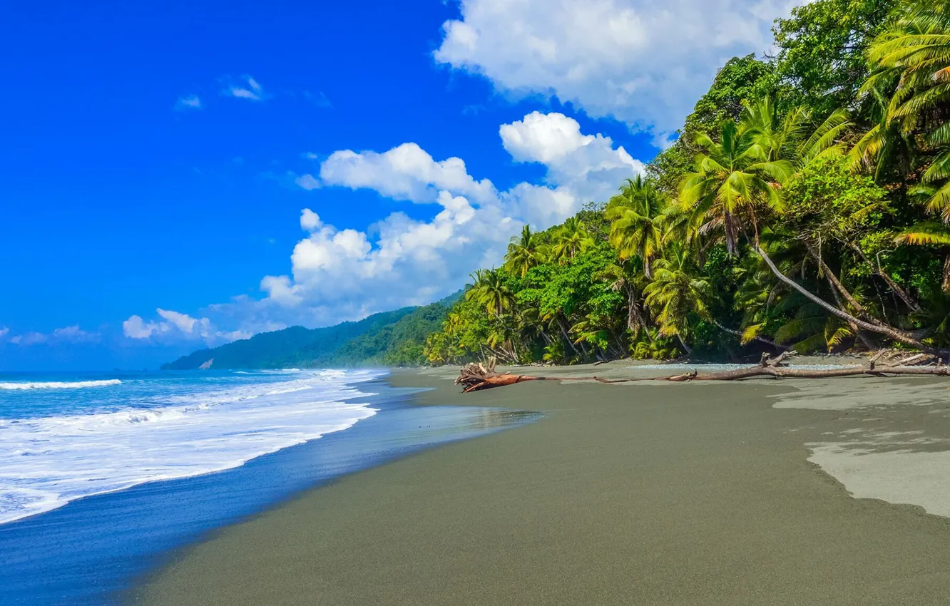Photo wallpaper sea, beach, clouds, palm trees, Caribbean, Costa Rica
