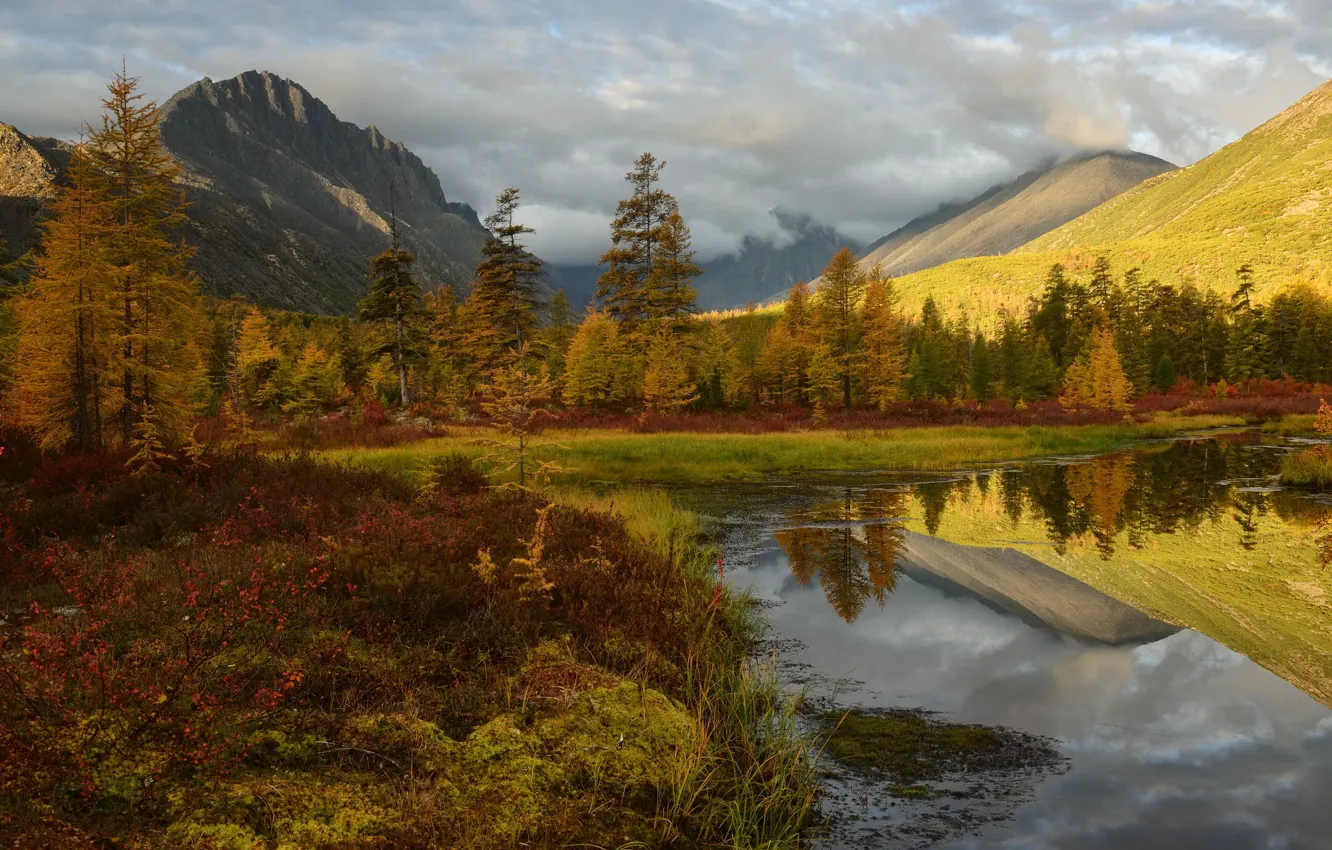 Photo wallpaper autumn, trees, mountains, reflection, shore, vegetation, pond