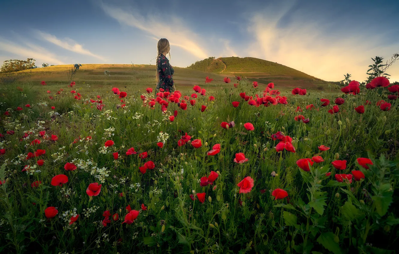 Photo wallpaper field, summer, girl, flowers, hills, Maki, dress, red