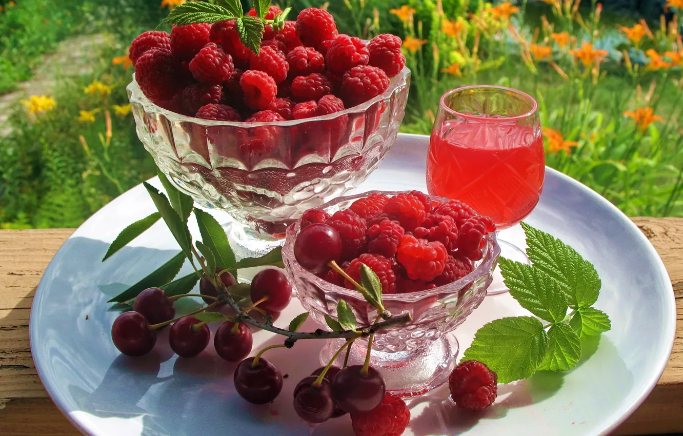 Photo wallpaper greens, leaves, the sun, red, cherry, berries, raspberry, sprig
