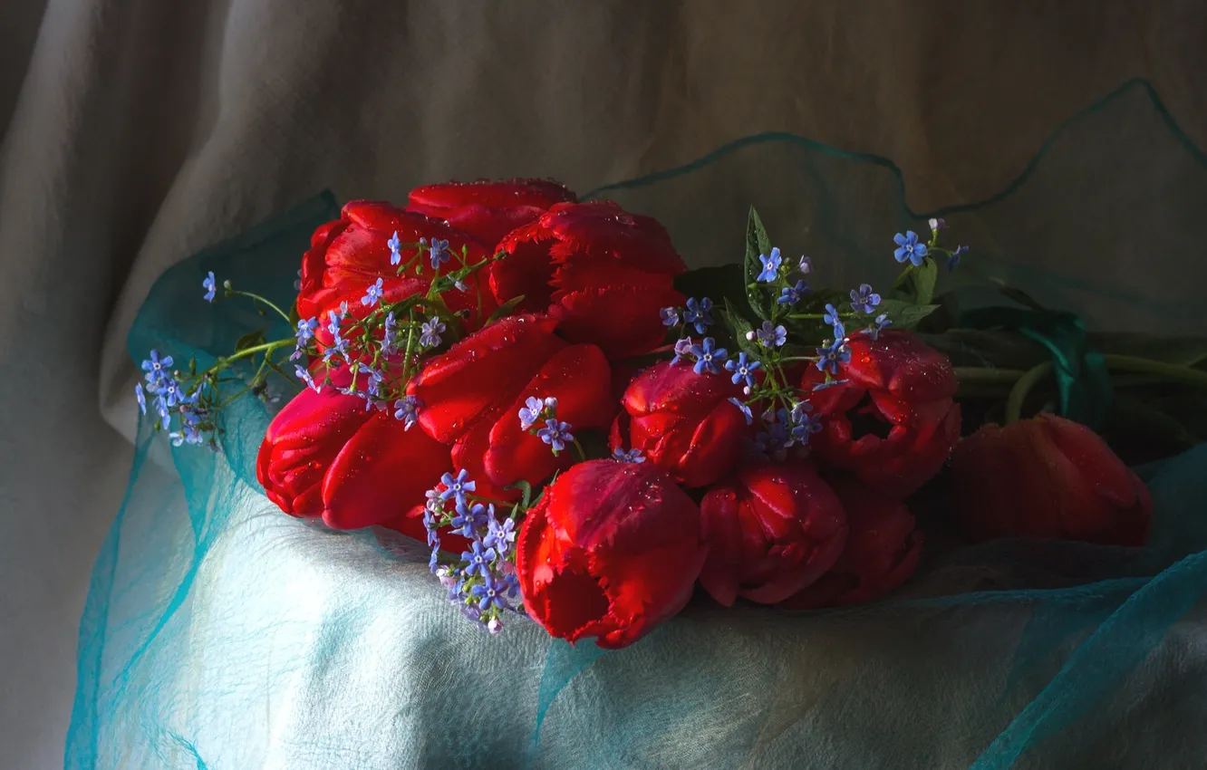 Photo wallpaper bouquet, tulips, forget-me-nots