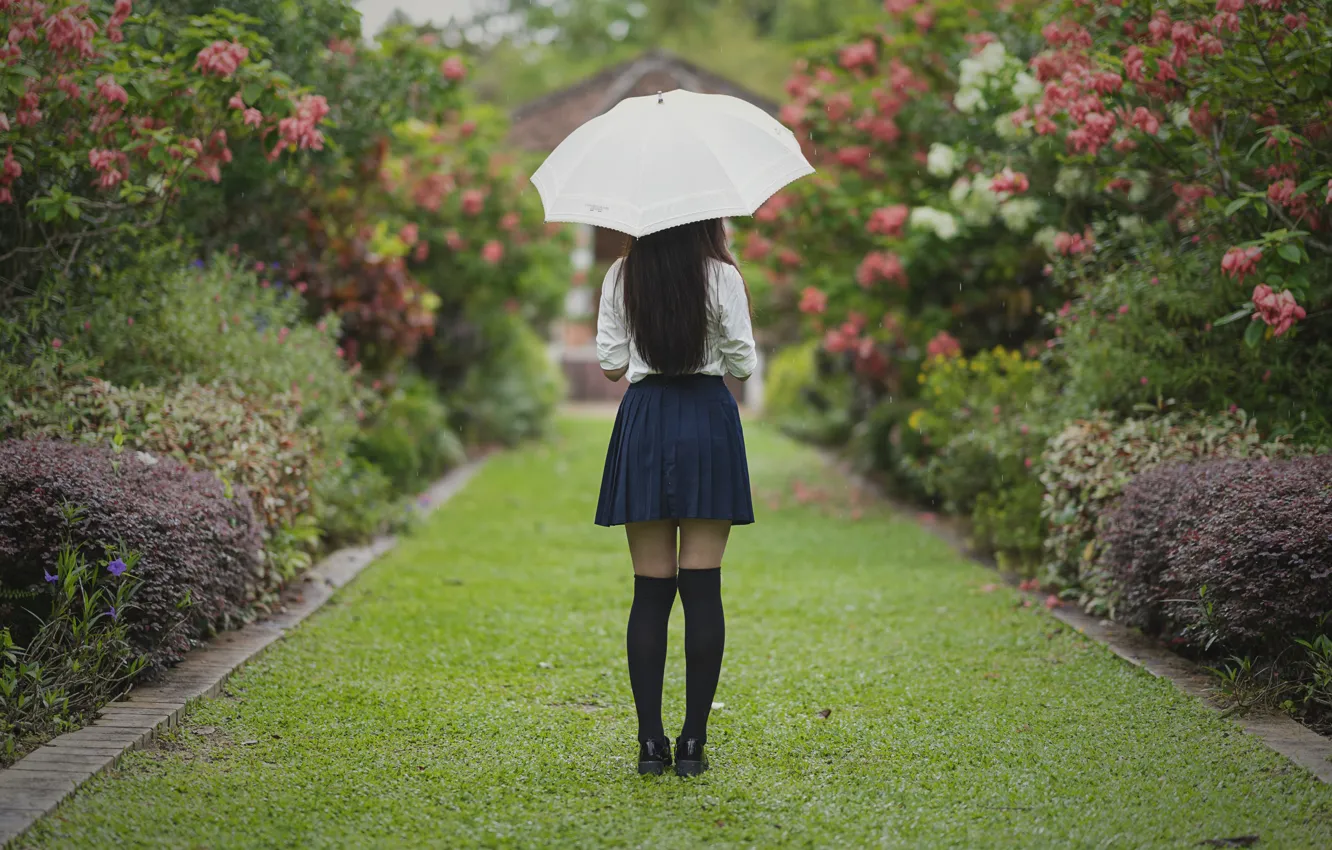 Photo wallpaper girl, Park, umbrella, hair, skirt, legs