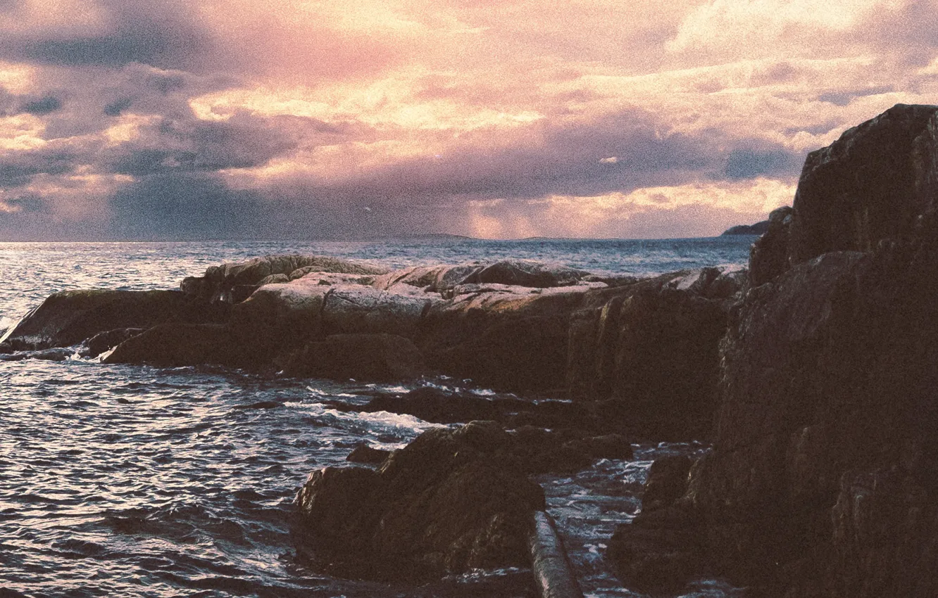 Photo wallpaper Music, Cover, Direct, Monstercat, Holly Drummond, Mr FijiWiji, Trust In Me