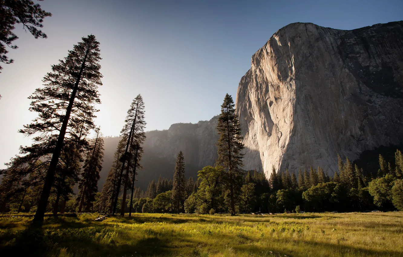 Photo wallpaper grass, the sun, light, mountains, rocks, tree