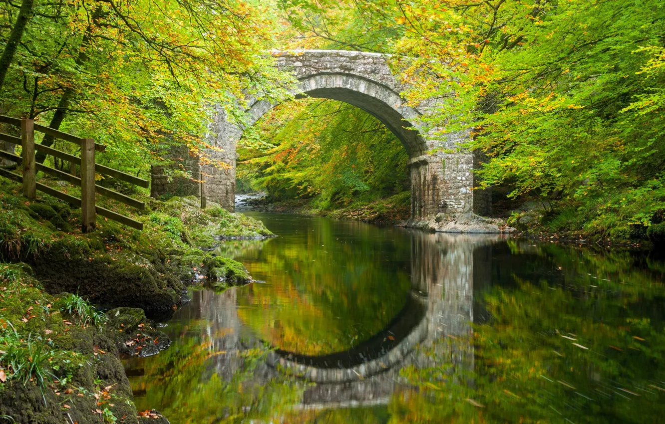 Photo wallpaper autumn, forest, trees, bridge, reflection, river, England, arch