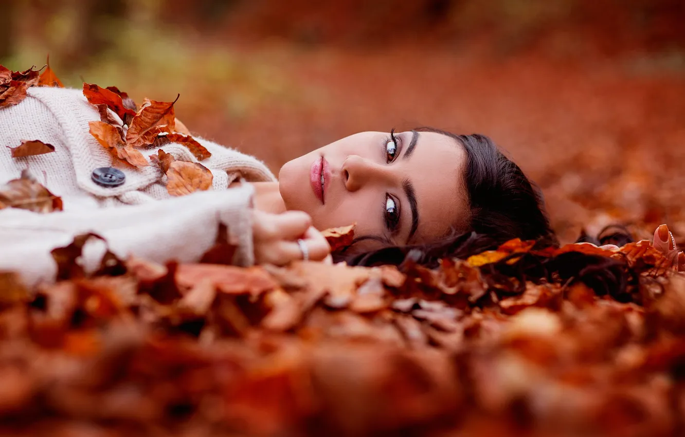 Photo wallpaper autumn, leaves, portrait, brown-eyed, Helena