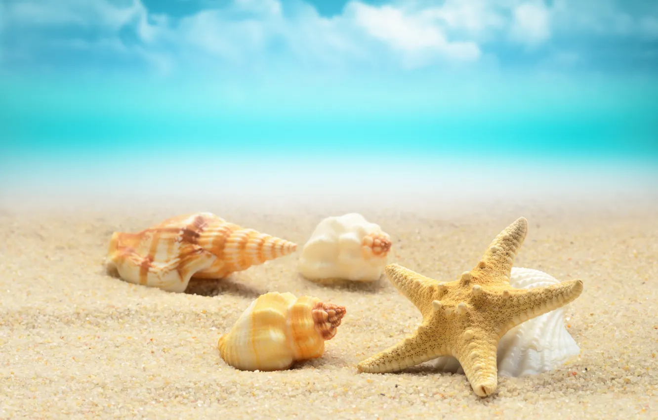 Photo wallpaper sand, sea, wave, beach, shore, shell, summer, beach