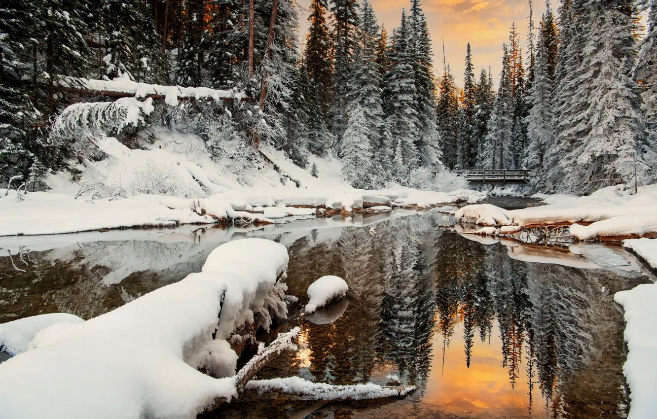 Photo wallpaper winter, forest, snow, sunset, lake, pond, reflection, shore