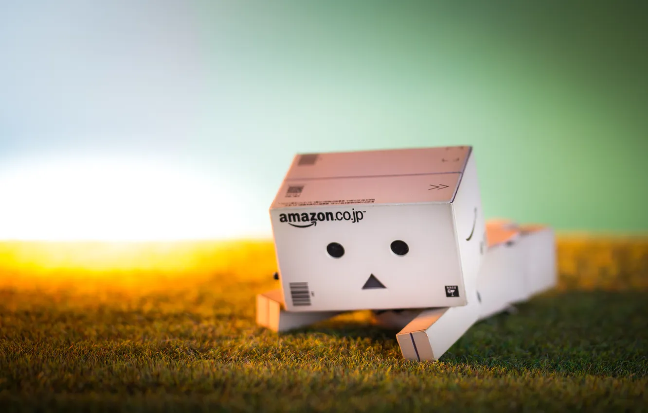 Photo wallpaper grass, danbo, amazon