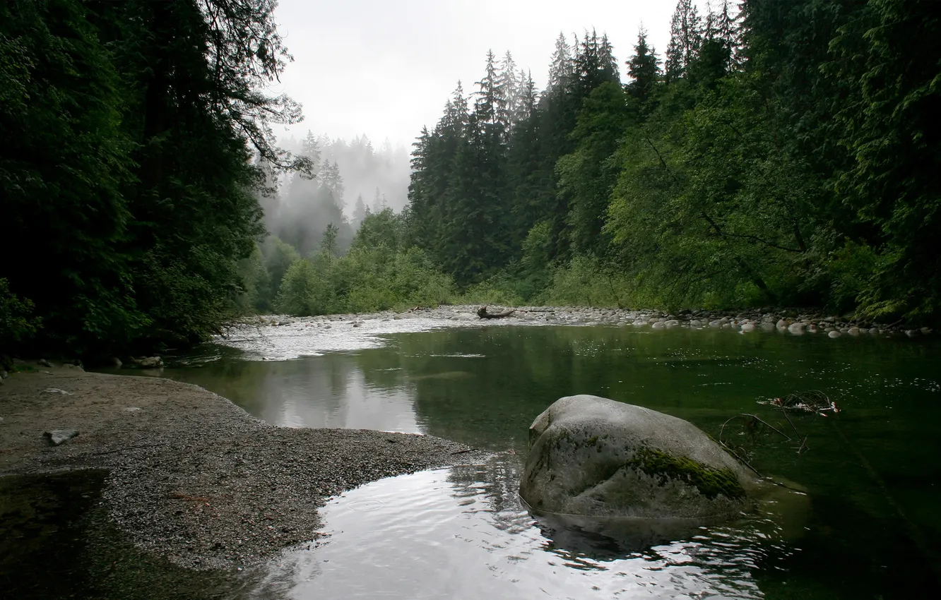 Photo wallpaper forest, stones, river