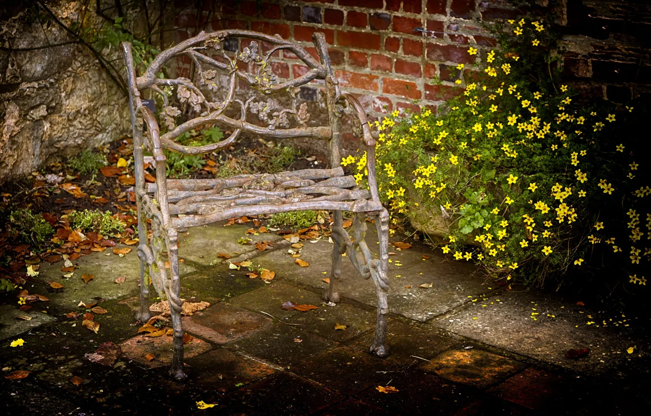 Photo wallpaper flowers, chair, backyard