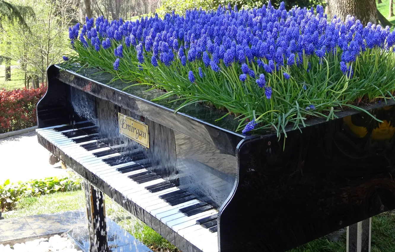Photo wallpaper design, landscape, piano, keys, Istanbul, Muscari, emirgan Park