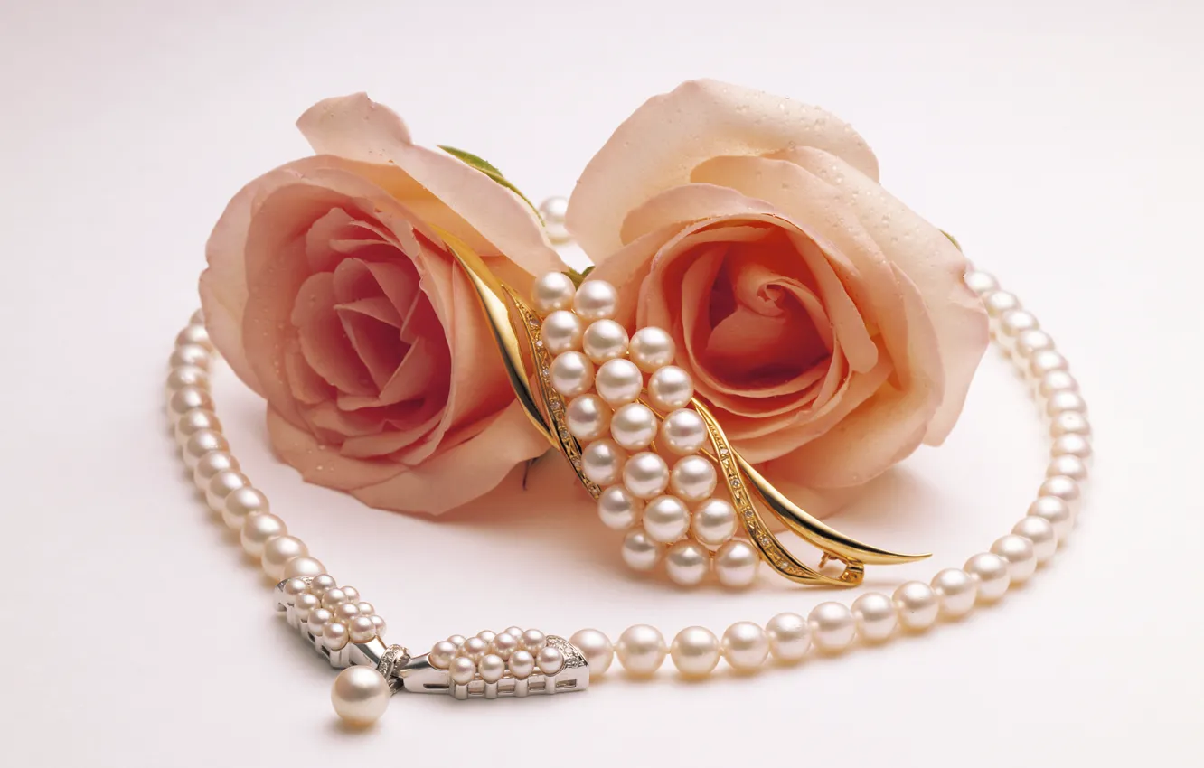 Photo wallpaper two, roses, pearl, brooch