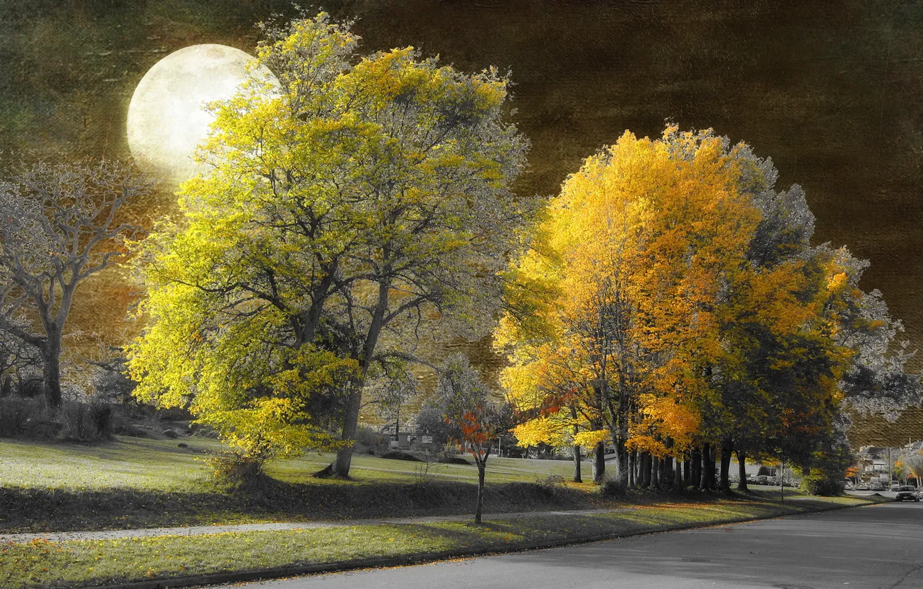 Photo wallpaper night, the city, style