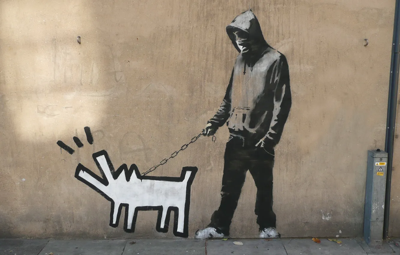 Photo wallpaper Graffiti, Banksy, Haring dog
