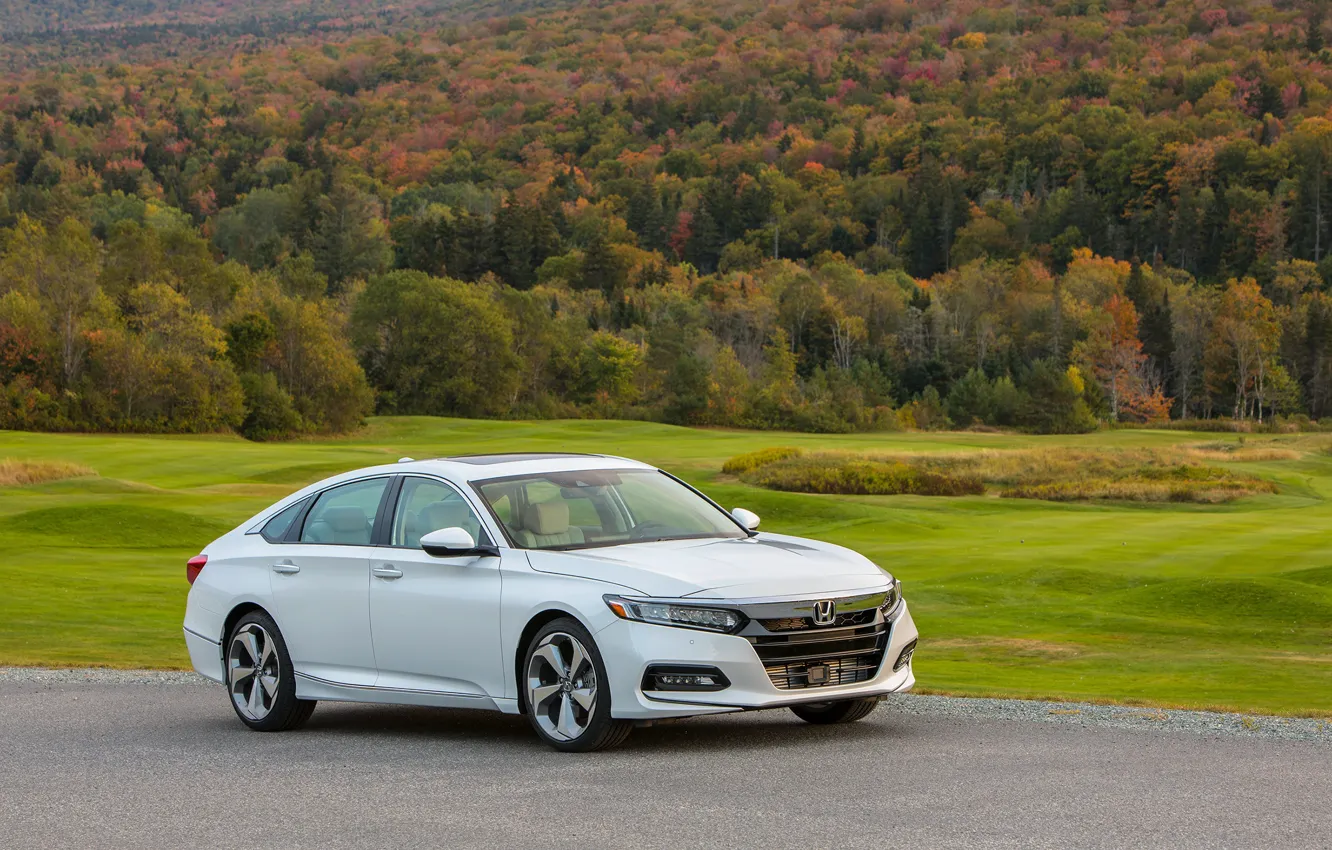 Photo wallpaper road, auto, forest, Honda, Accord, Touring