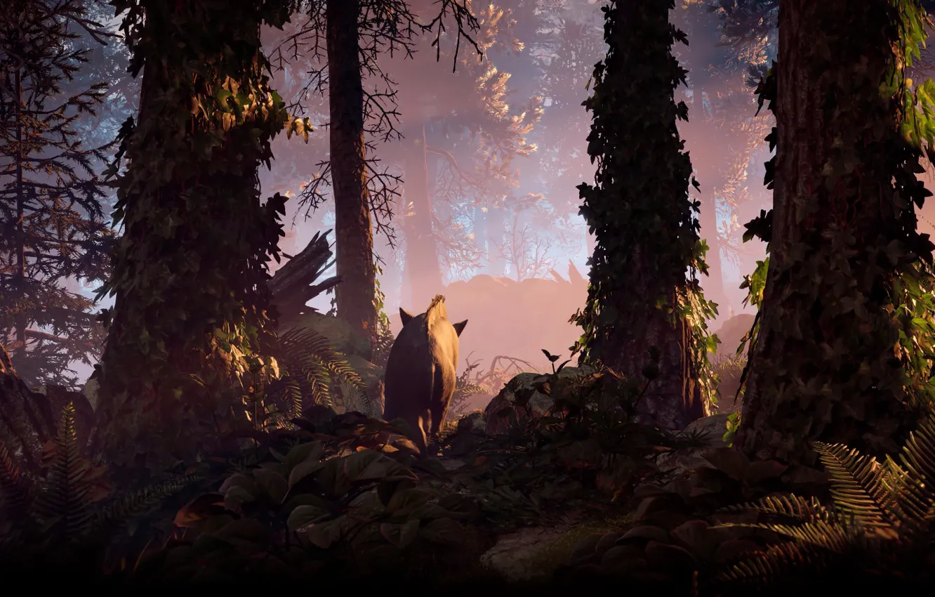 Photo wallpaper the sky, girl, trees, mountains, robot, bow, hunter, horizon