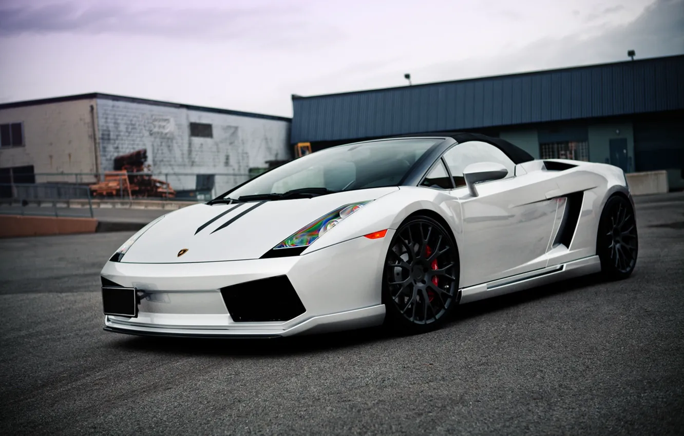 Photo wallpaper white, Lamborghini, Gallardo, Hamman