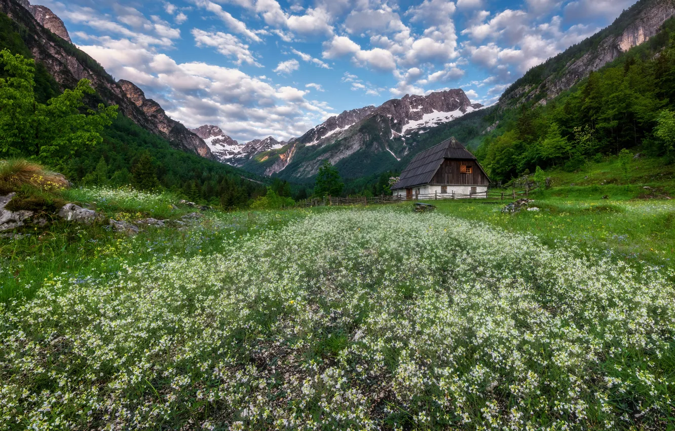 Photo wallpaper flowers, mountains, house, valley, meadow, Slovenia, Slovenia, The Julian Alps