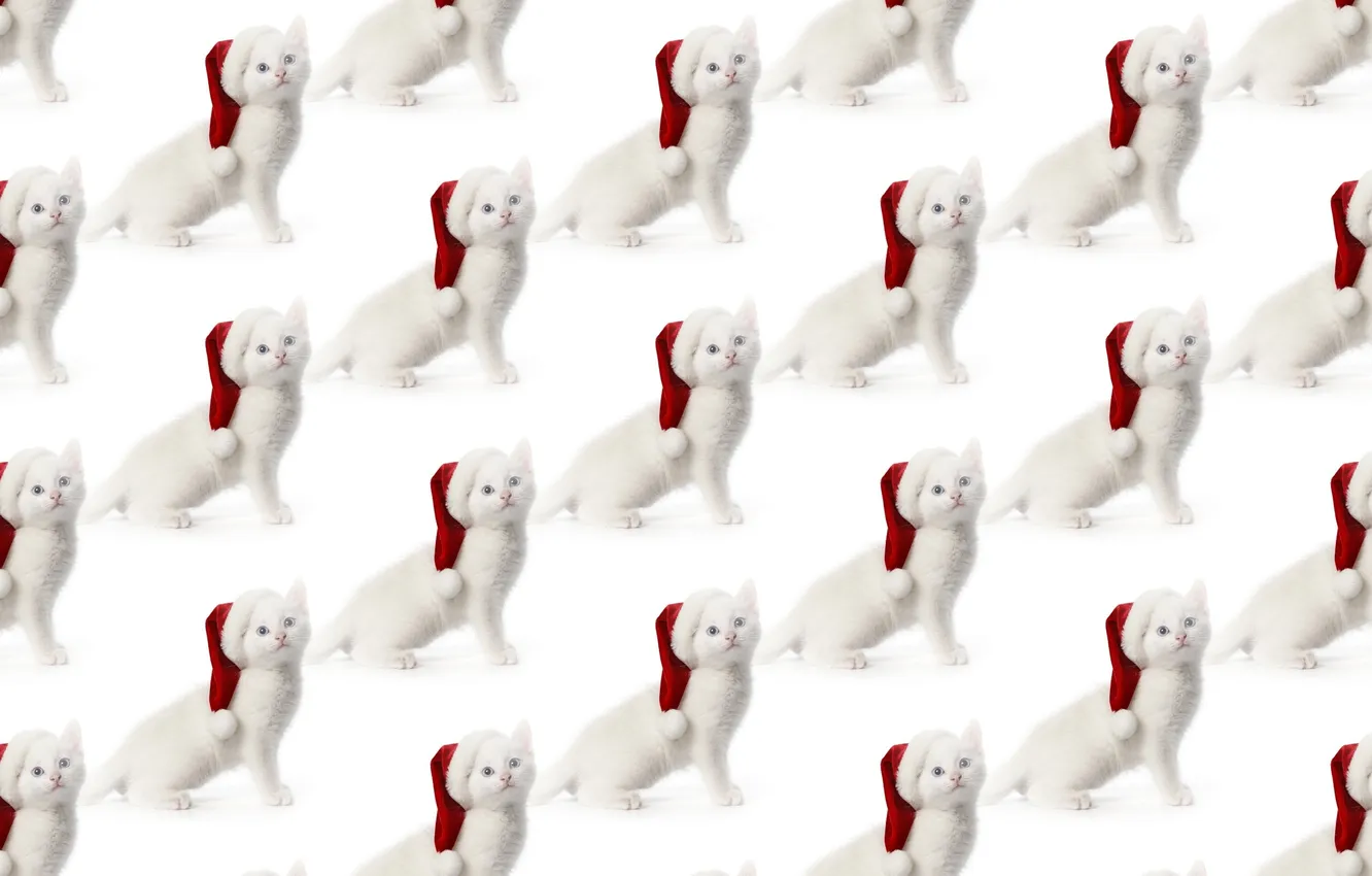 Photo wallpaper background, mood, holiday, new year, texture, kitty, cap, cap