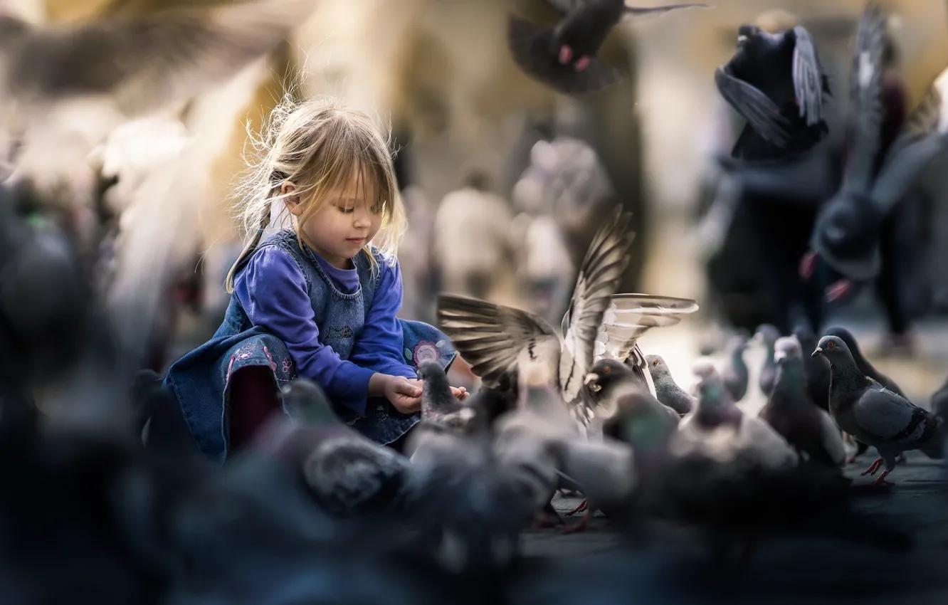 Photo wallpaper bird, street, girl
