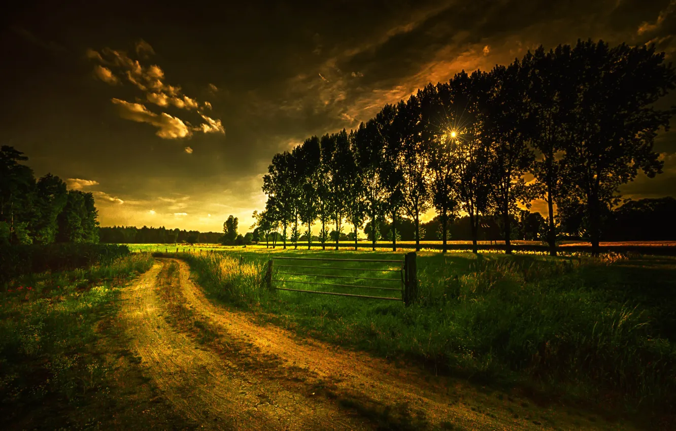 Photo wallpaper road, grass, clouds, trees, landscape