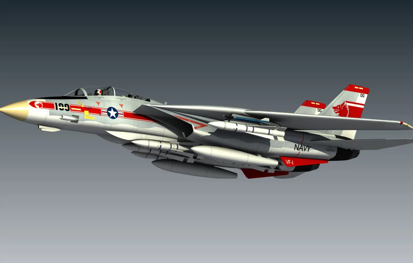 Photo wallpaper model, Tomcat, F14, Blender 3D, Wolfpack