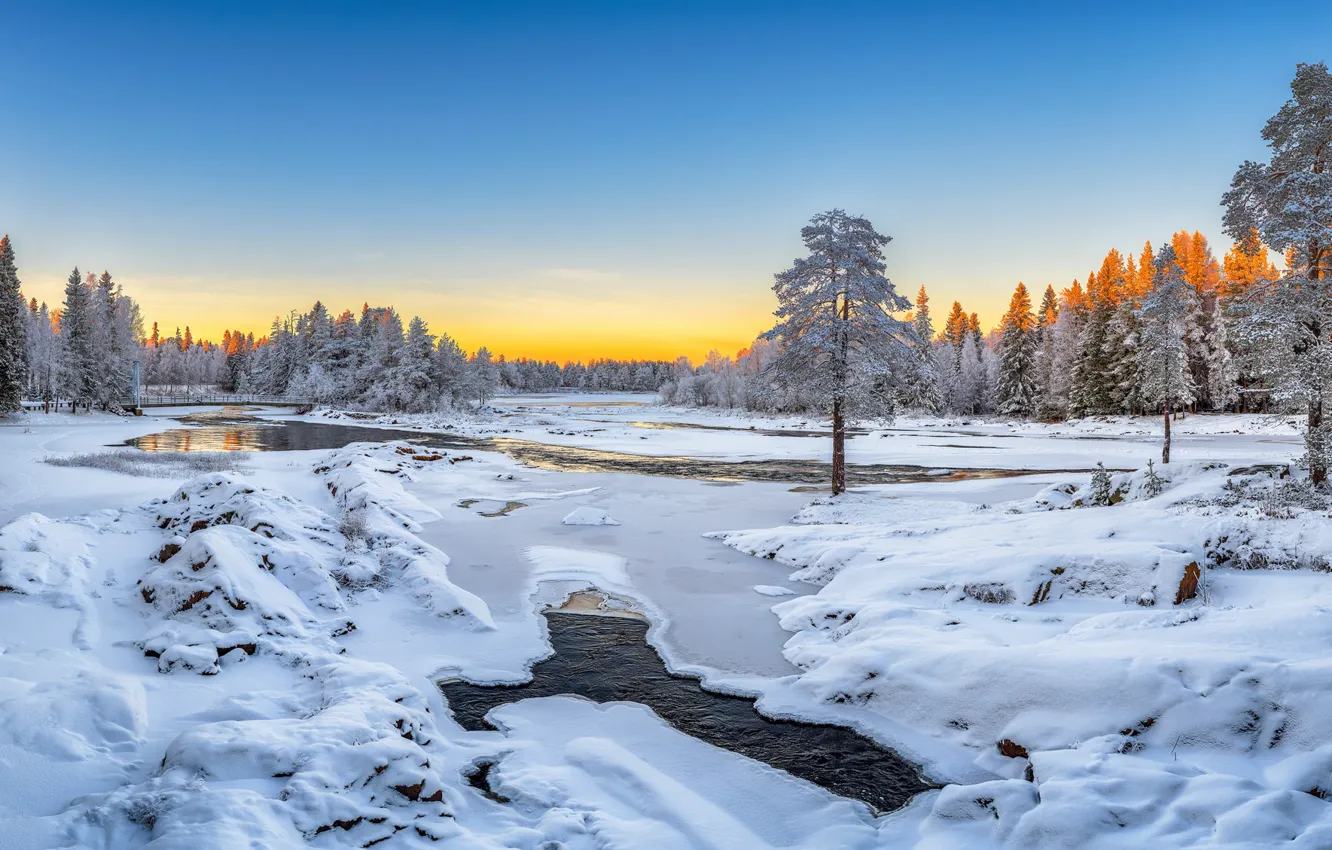 Photo wallpaper winter, snow, trees, river, Finland, Finland, Oulu, Oulu