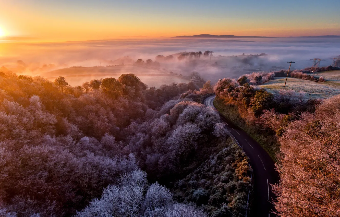 Photo wallpaper road, morning, fog, sunrise, dawn, dew, freeze, winter is coming