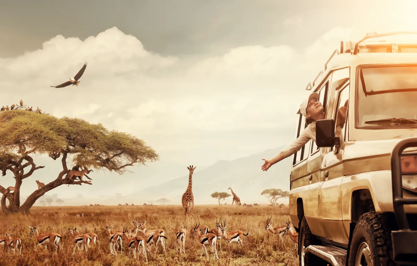 Photo wallpaper girl, animal, Leo, giraffe, Zebra, Savannah, Africa, journey