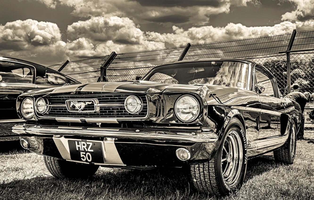 Photo wallpaper Ford Mustang, 1965, the front, GT350H