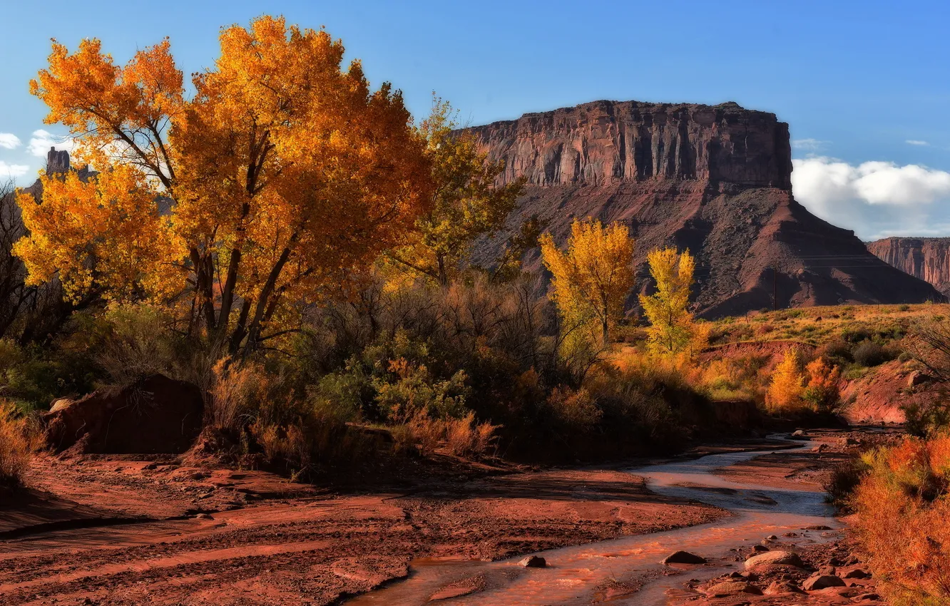 Photo wallpaper autumn, fall, Professor Valley