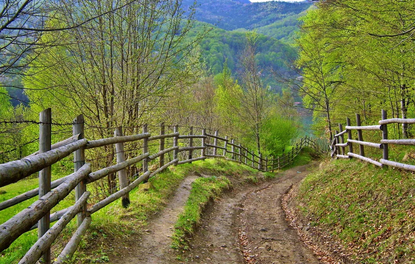 Photo wallpaper road, summer, the fence
