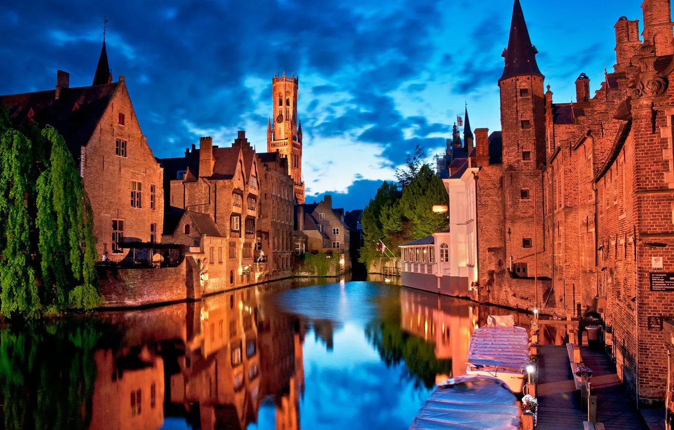 Photo wallpaper the sky, clouds, trees, landscape, night, city, the city, lights