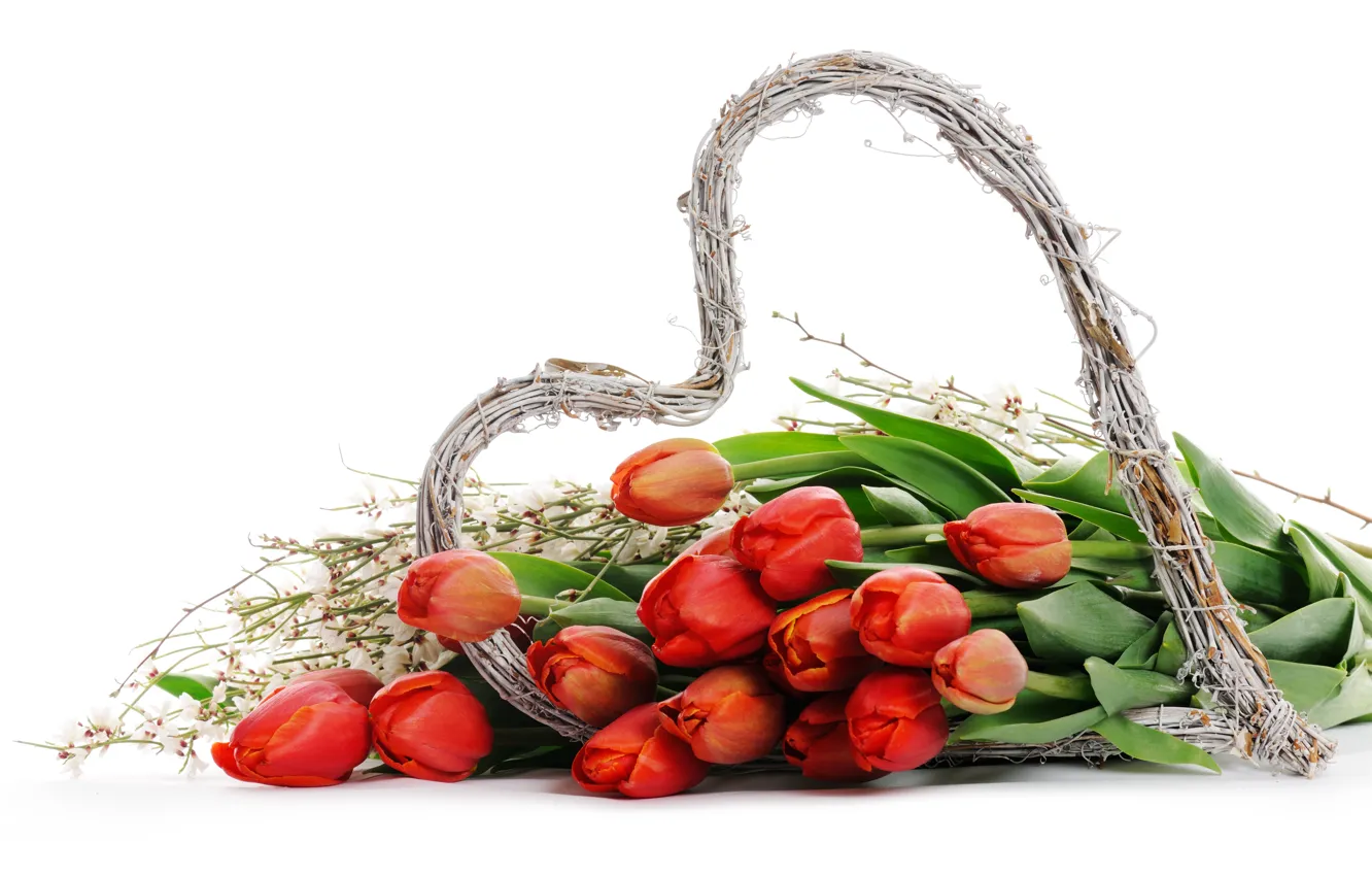 Photo wallpaper flowers, heart, tulips