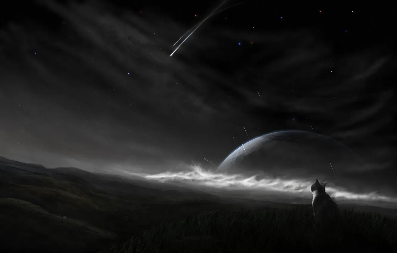 Photo wallpaper the sky, stars, night, planet, comet, though