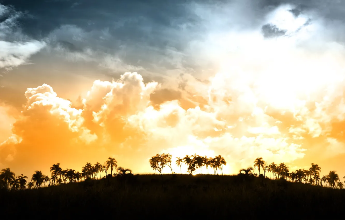 Photo wallpaper clouds, light, sunset, palm trees