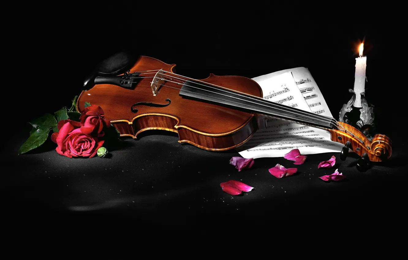 Photo wallpaper flowers, style, notes, music, violin, roses, candle, petals