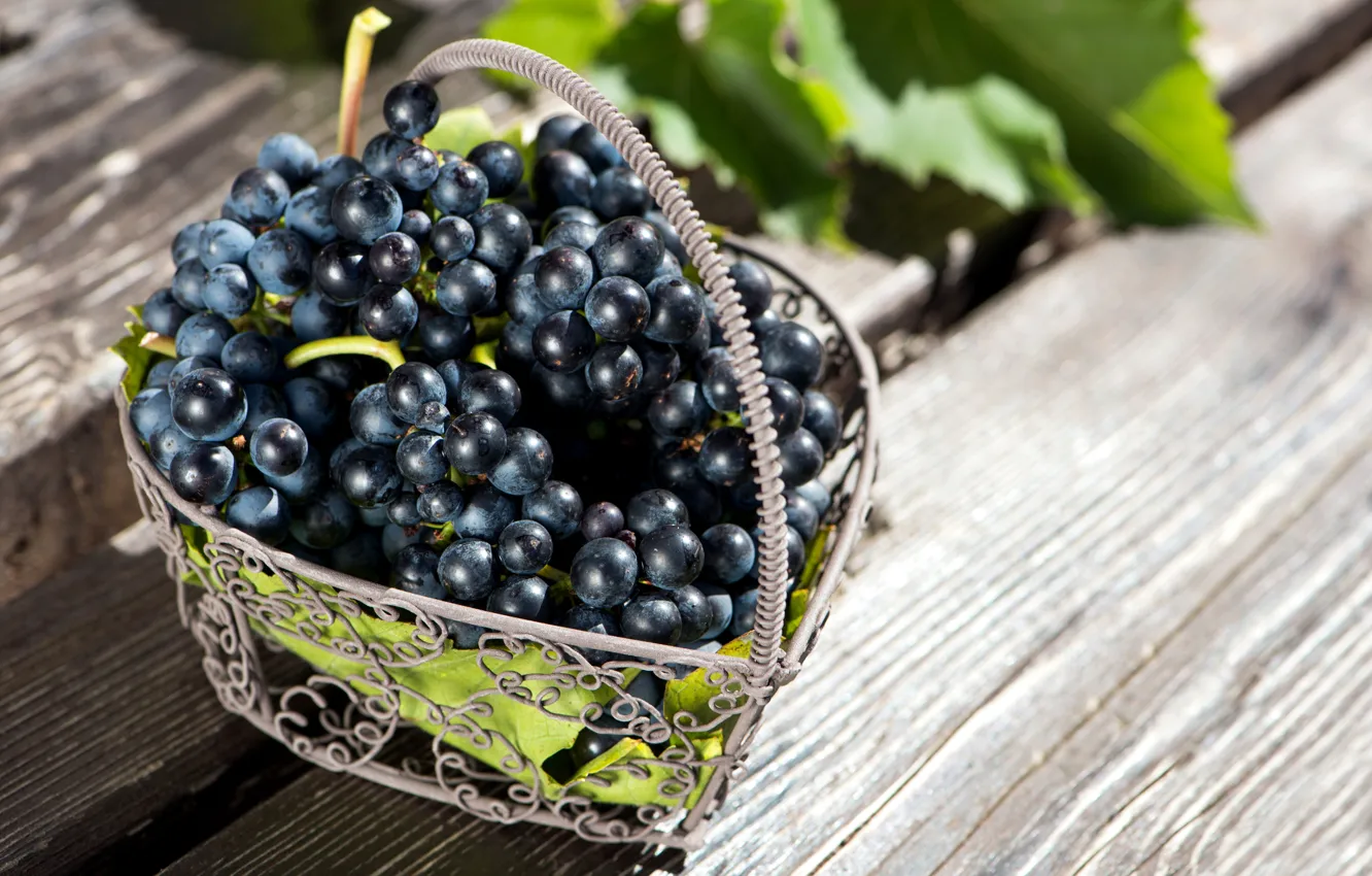 Photo wallpaper leaves, red, berries, basket, grapes, basket, bunches