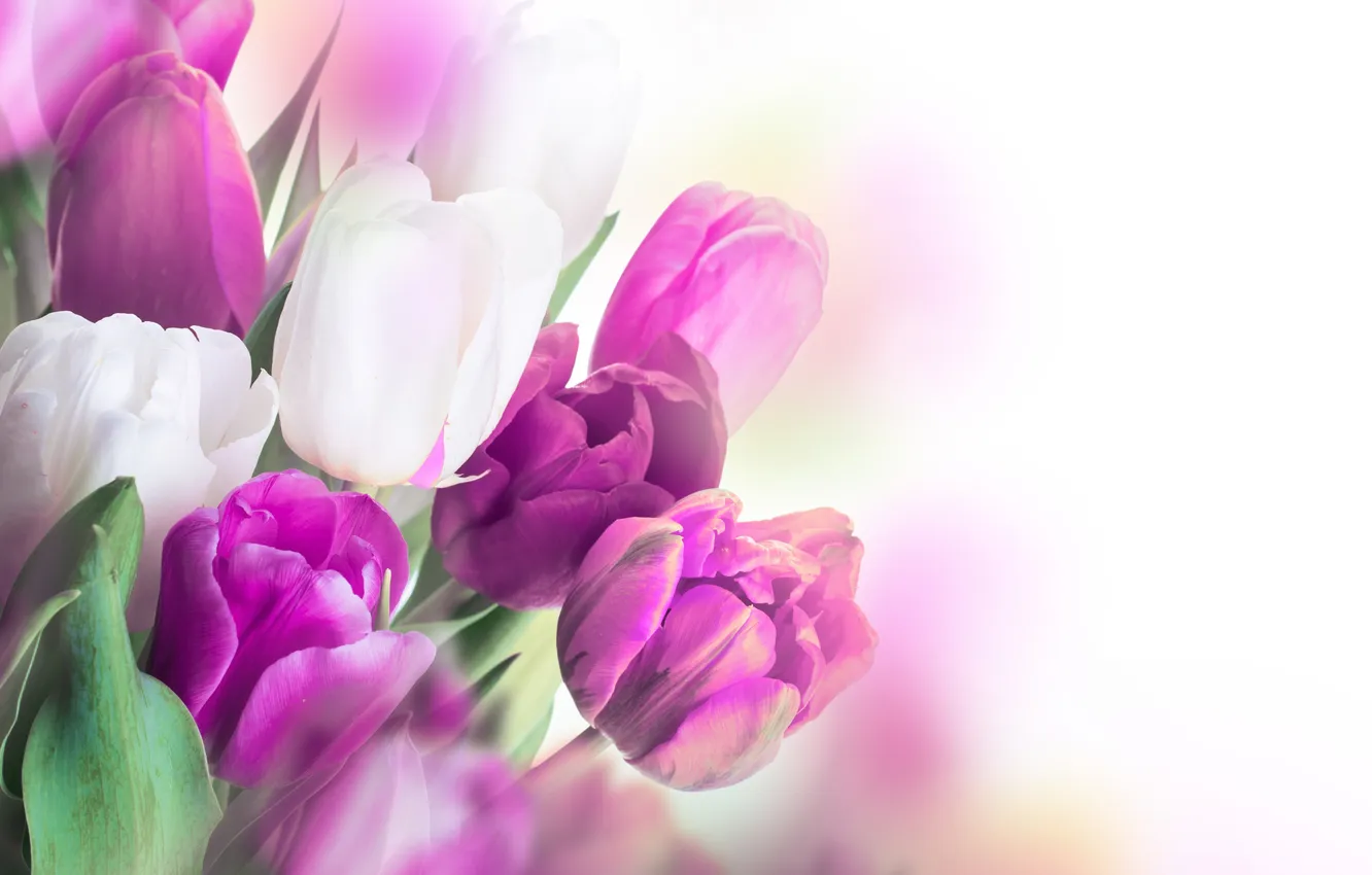 Photo wallpaper flowers, bouquet, tulips