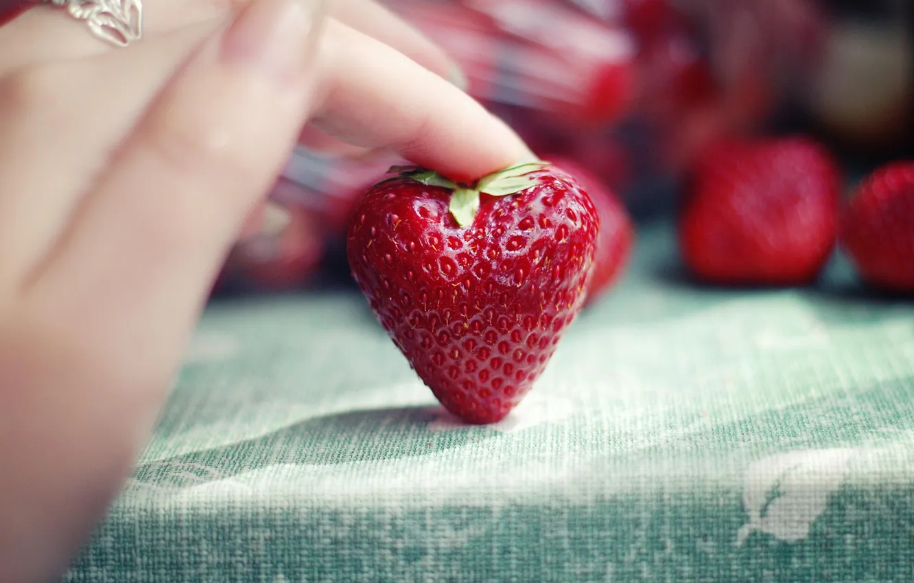 Photo wallpaper macro, berries, hands, strawberry, PAL