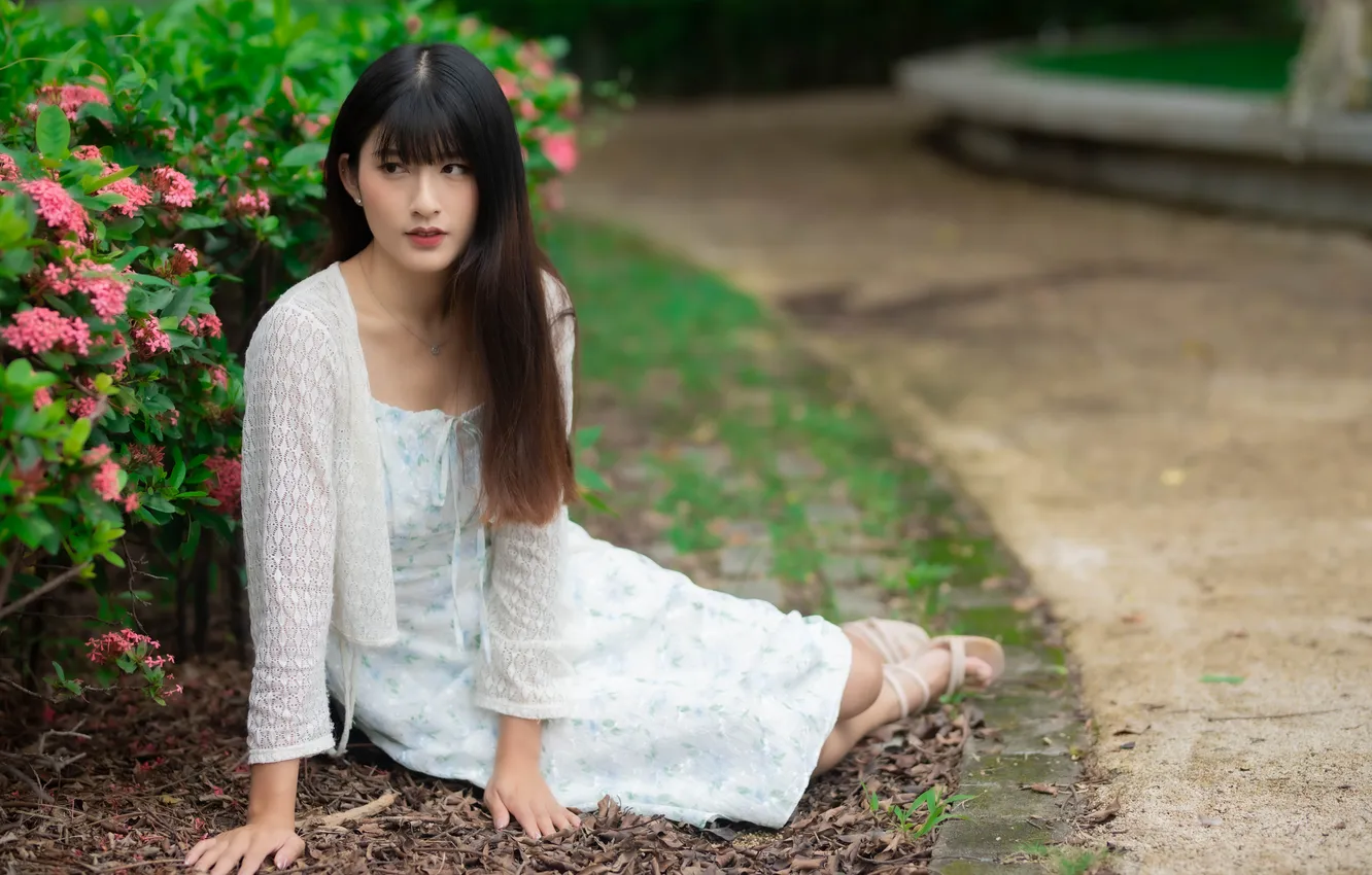 Photo wallpaper girl, dress, Asian