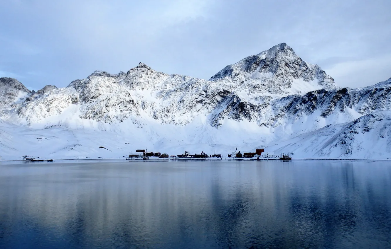 Photo wallpaper the village, capital, South Georgia, South Georgia, Grytviken, South Sandwich Islands, Grytviken