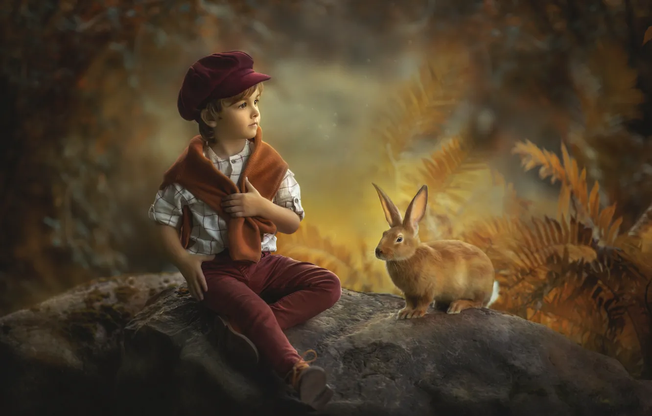 Photo wallpaper autumn, nature, stones, animal, vegetation, boy, rabbit, child