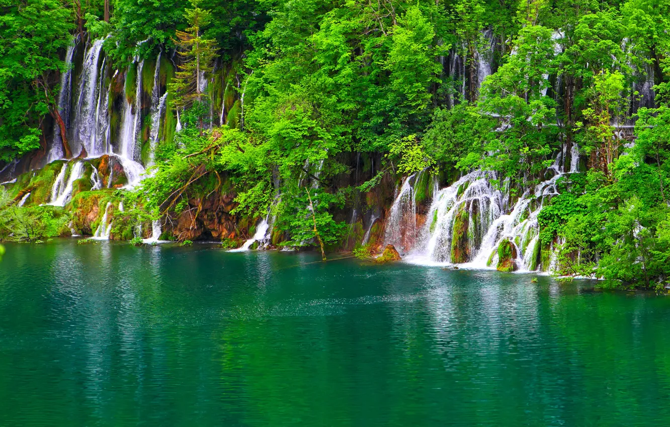 Photo wallpaper greens, trees, lake, rocks, waterfall, Croatia, Plitvice Lakes