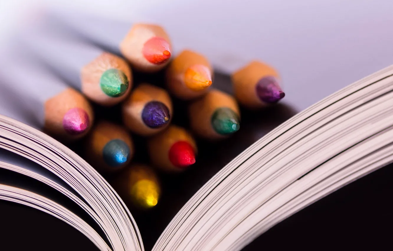 Photo wallpaper macro, pencils, book